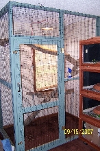 Homers Cage