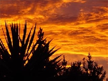 new zealand sun rise