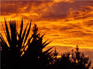 new zealand sun rise