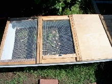 Sulcata Outdoor cage