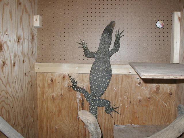 Croc Monitor