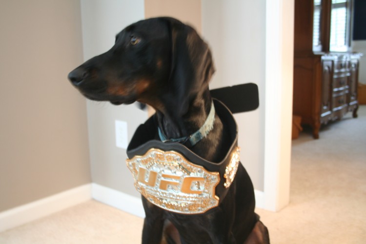 Forrest Belt