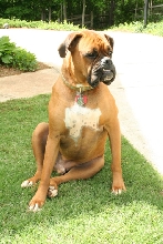 3rd birthday