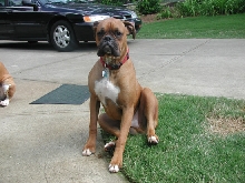 1st birthday