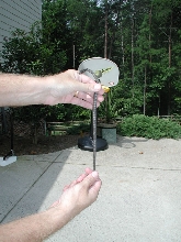 pattern of caught snake