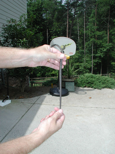 pattern of caught snake