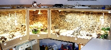 New ackie cage
