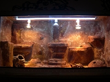 Cage made of polystyrene