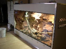 New ackie cage