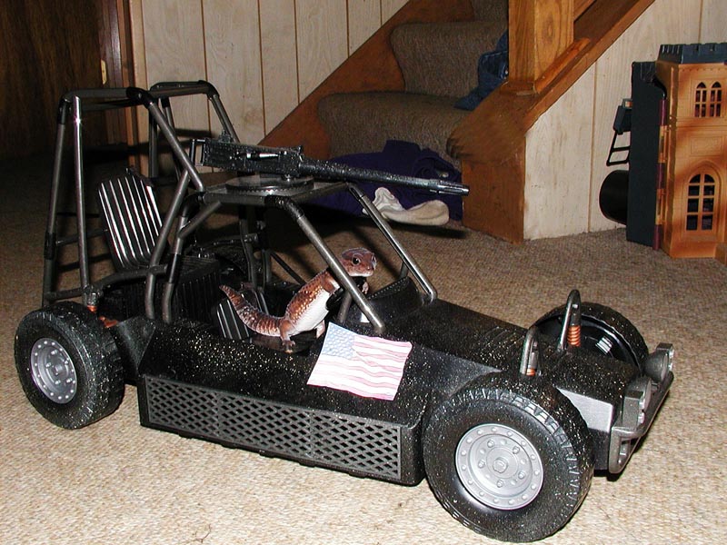 Toonces the driving gecko