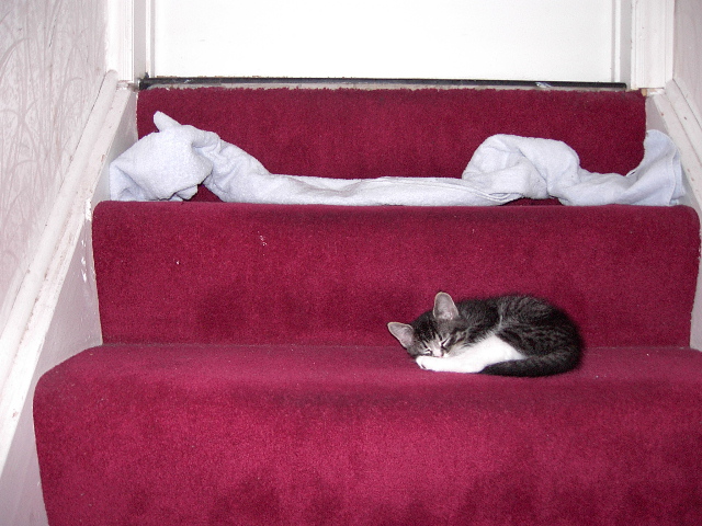 New napping spot