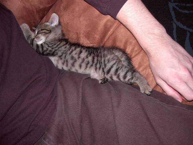 Maximus stretching