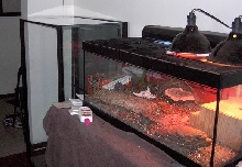 New tank width
