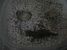 At birth