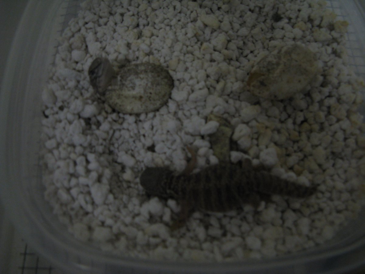 At birth