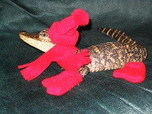 Merry Christmas!