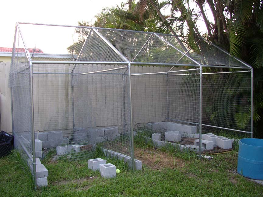 New Cyclura/ Ctenosaura Breeding Cages Under Construction