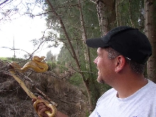 Happy Hunter (Yellowrat Snake)