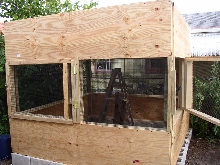 Iguana cage