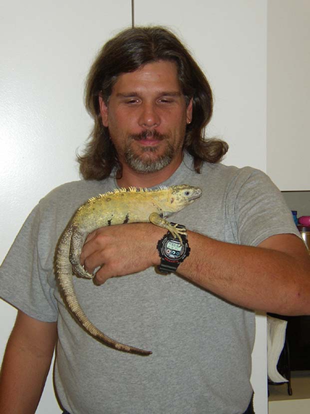 C. Pectinata Banana Phase Male