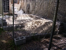 Cyclura & Ctenosaura Cage 2