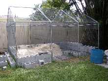 Cyclura & Ctenosaura Cage 3