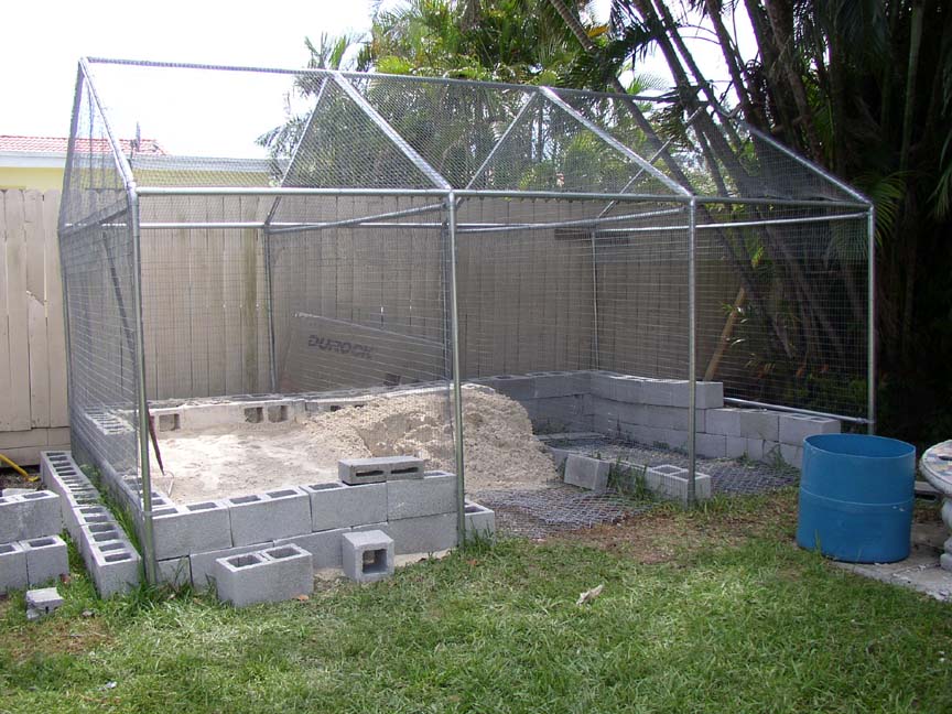 Cyclura & Ctenosaura Cage 3