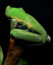 more pretty colors