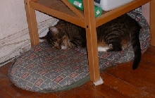 A September nap
