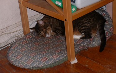 A September nap