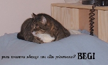 This bed is MINE!