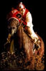 Seabiscuit