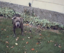 Blue Outside