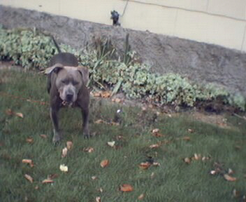 Blue Outside