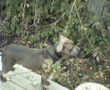 Blue Outside