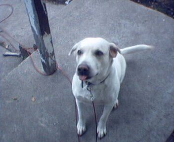 Charlie Sticking His Tounge Out