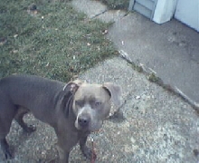 Another outside photo