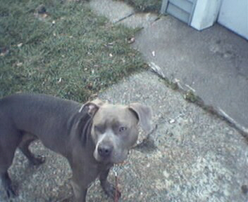 Another outside photo