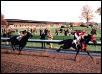 Seabiscuit vs War Adimiral (From the movie)