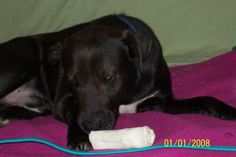 Charlie
