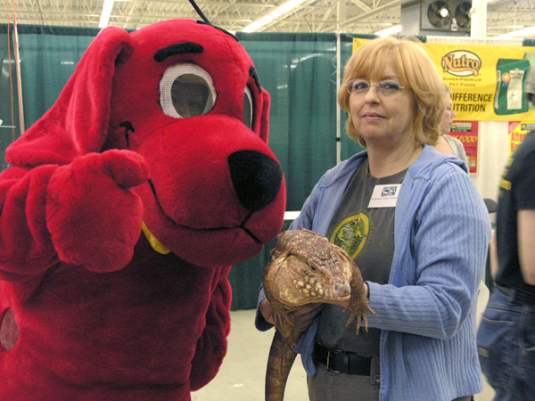 Clifford and Clifford