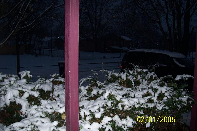 First snow of winter 2008