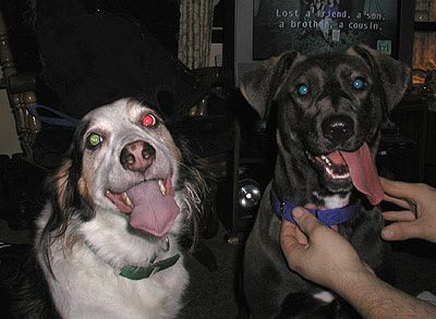 Hannah and Duncan