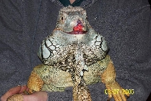 Tony5