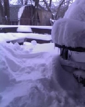 back deck 2