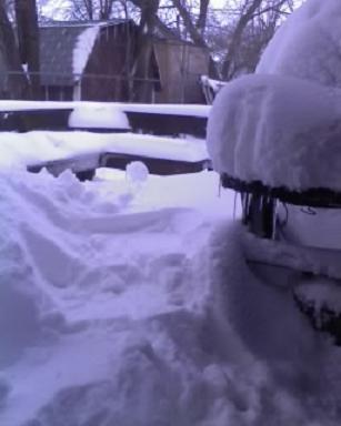 back deck 2