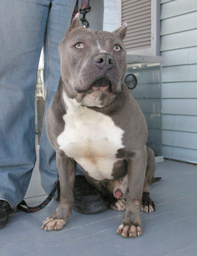 Bennie 2