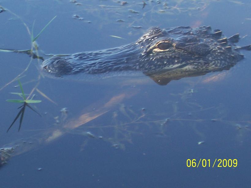 Within 8 feet!