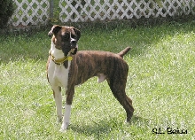 Reuben2