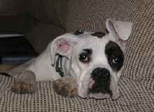 Ruby